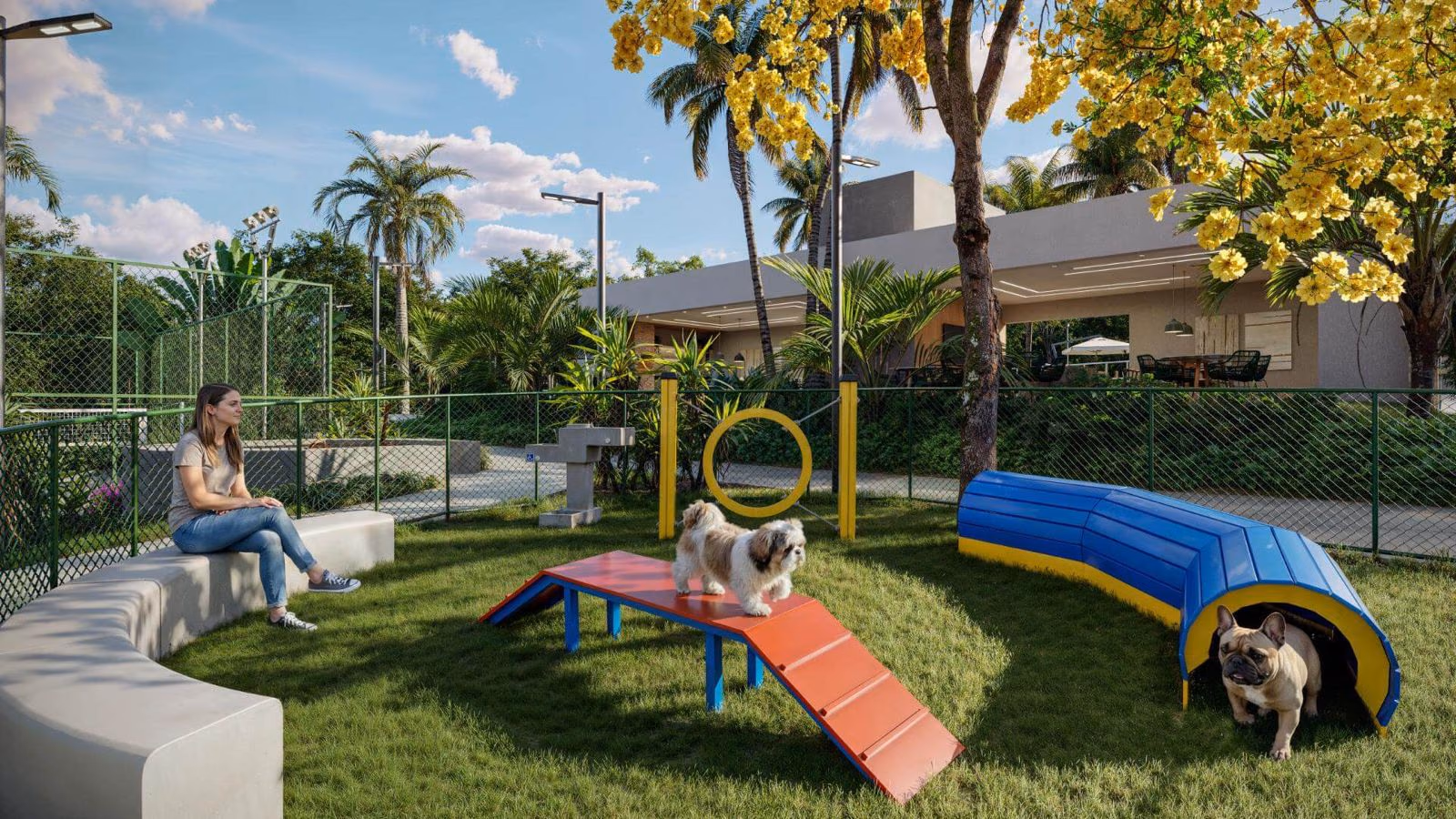 Pet place com rampa e túnel para cachorros